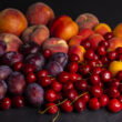 EU, Japan stone fruit crops set to rebound in 2026/27 as weather conditions improve