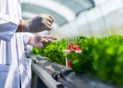 New framework links plant microbe breeding to lower fertilizer dependence across major crops