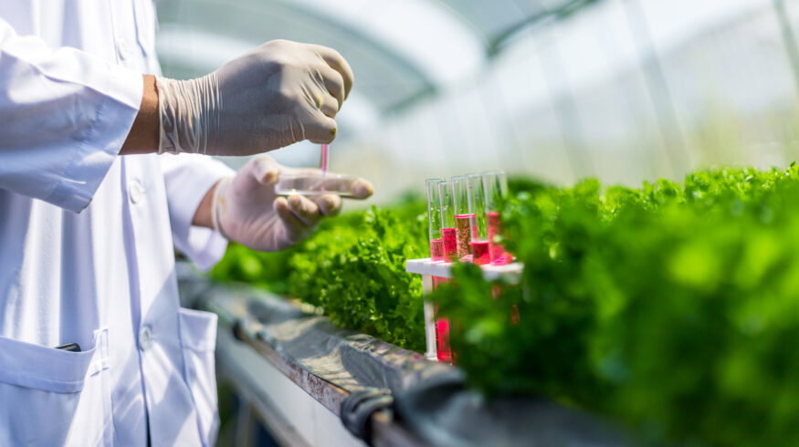 New framework links plant microbe breeding to lower fertilizer dependence across major crops