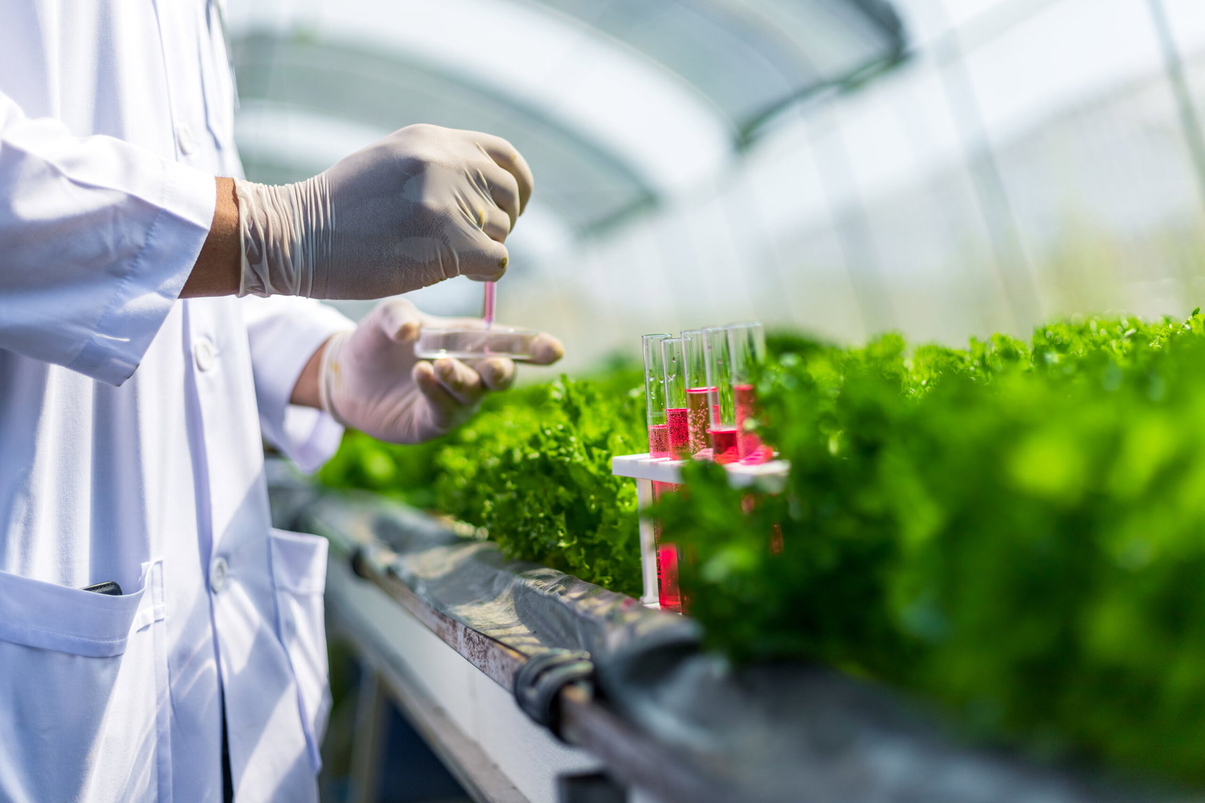 New framework links plant microbe breeding to lower fertilizer dependence across major crops