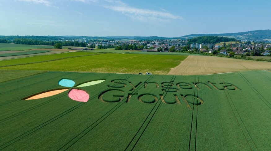 Syngenta H1 2026 sales fall 2% to $12.2B as China grain trading cuts weigh on revenue