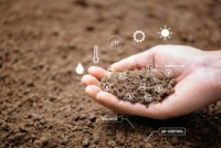 New research maps how engineered soil microbiomes could cut synthetic fertilizer use