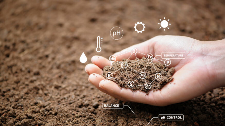 New research maps how engineered soil microbiomes could cut synthetic fertilizer use