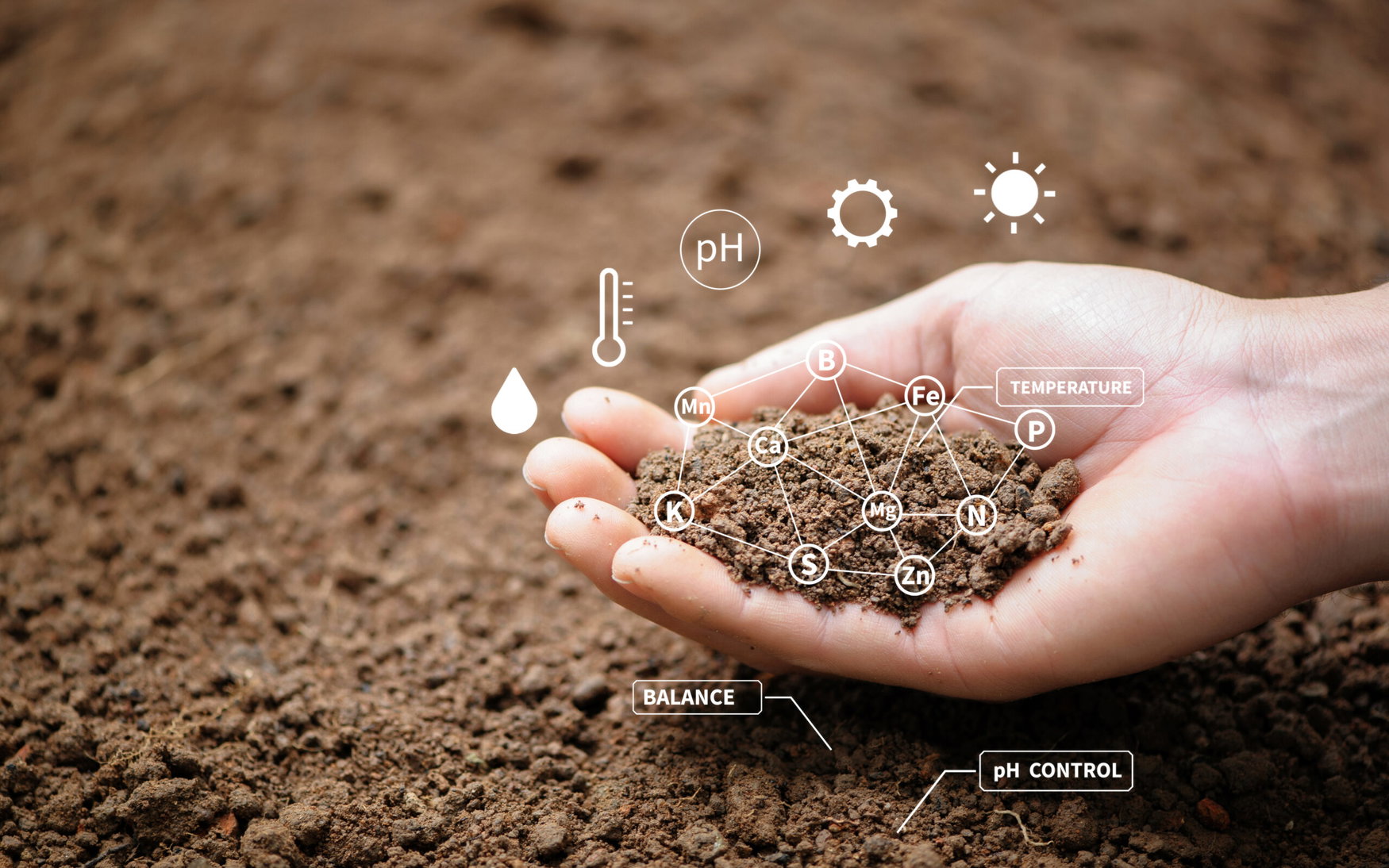 New research maps how engineered soil microbiomes could cut synthetic fertilizer use