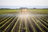 Fertilizer Recommendation Support Tool expands to 2,828 trials across 44 states