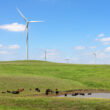 U.S. farmers turn to wind royalties and other side income as farm economics tighten