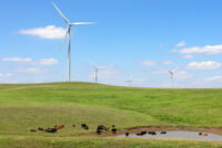 U.S. farmers turn to wind royalties and other side income as farm economics tighten