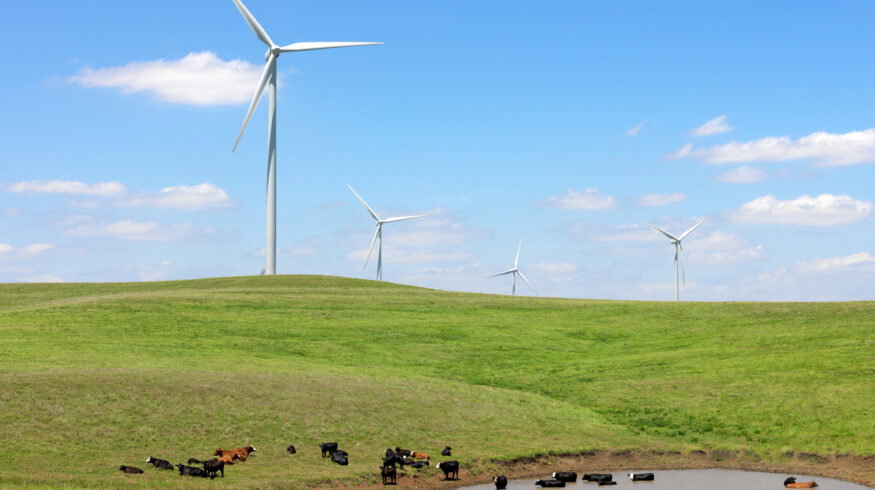 U.S. farmers turn to wind royalties and other side income as farm economics tighten