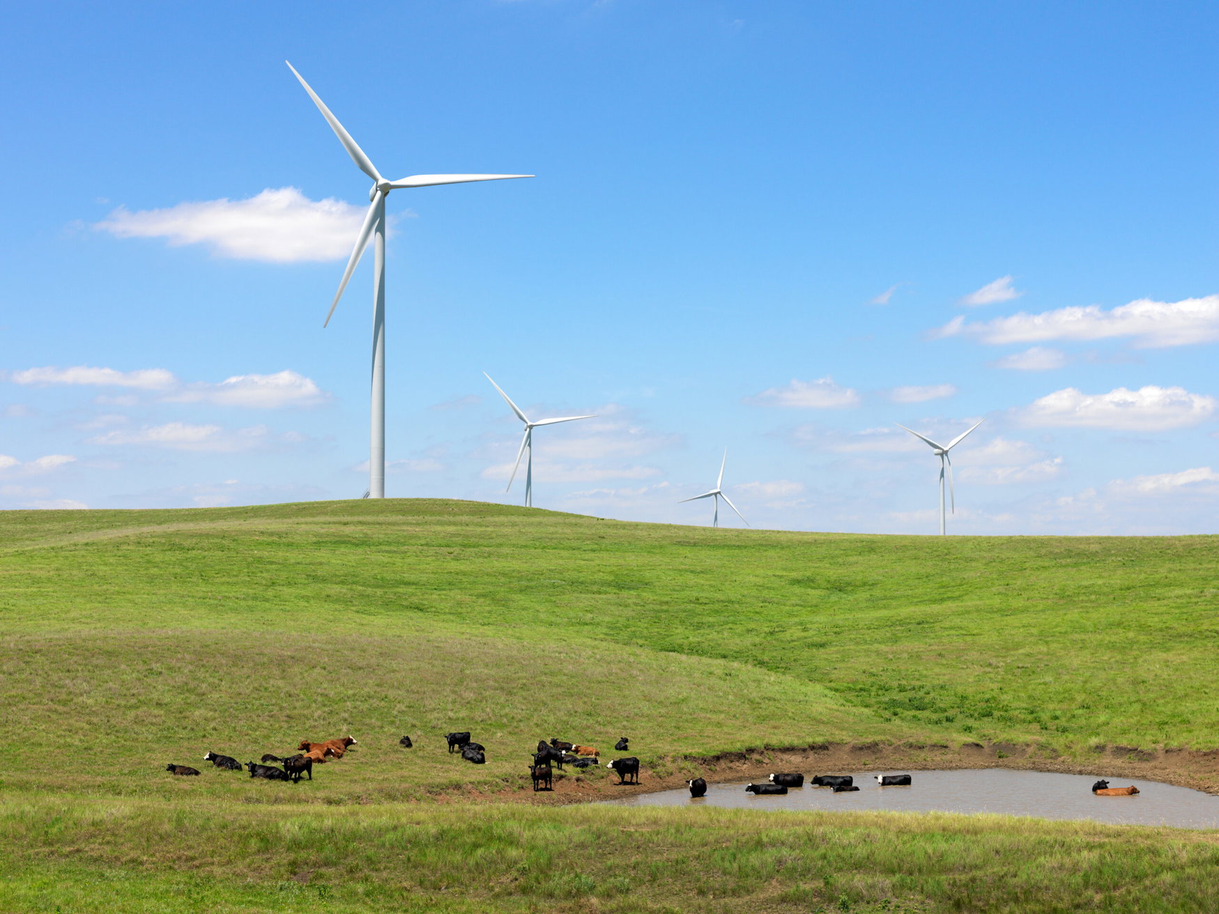 U.S. farmers turn to wind royalties and other side income as farm economics tighten