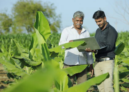 India extends critical DAP subsidy support through Rabi season as import costs stay above $900/t