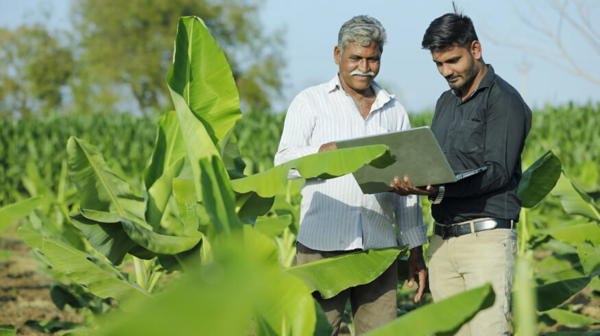 India extends critical DAP subsidy support through Rabi season as import costs stay above $900/t