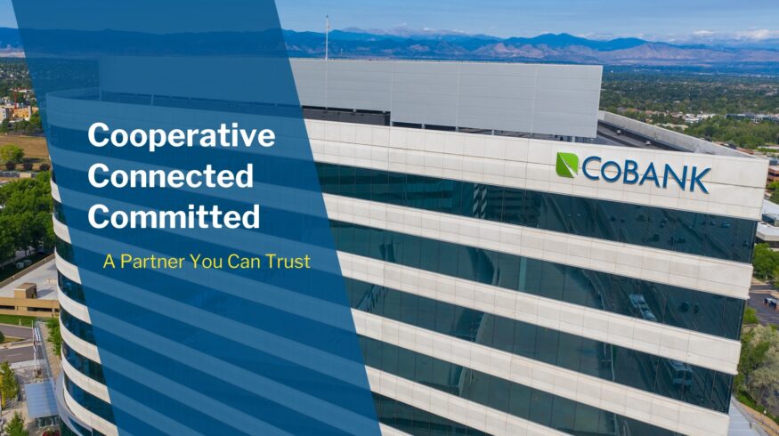 CoBank warns higher fertilizer prices are structural as phosphate capacity forecast drops 13%