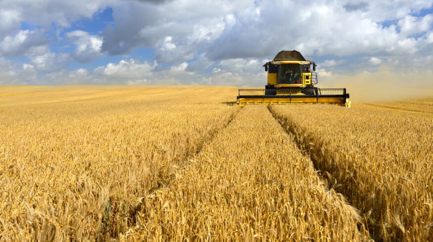 Hydrogel beads deliver nitrogen-fixing bacteria to cereal crop roots in new SDSU proof of concept