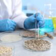 Plasma treatment boosts cyanobacteria nitrogen fixation 258% in breakthrough for rice biofertilizer