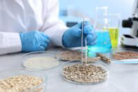 Plasma treatment boosts cyanobacteria nitrogen fixation 258% in breakthrough for rice biofertilizer