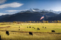 Farmers Innovation Fund wins USDA certification, opening Farm Credit capital to farmer-led agtech startups