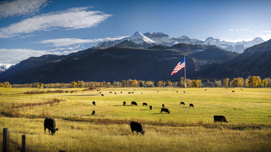 Farmers Innovation Fund wins USDA certification, opening Farm Credit capital to farmer-led agtech startups