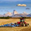 Fertilizer market enters autumn with urea steady, phosphate tight and potash demand flat