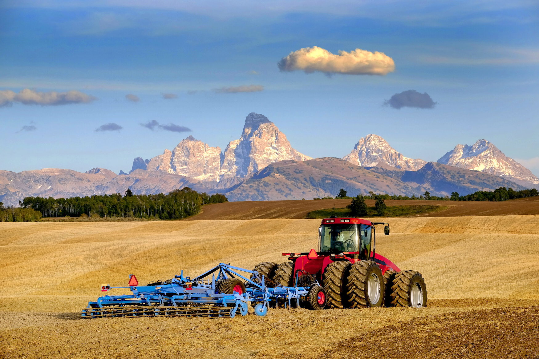 Fertilizer market enters autumn with urea steady, phosphate tight and potash demand flat